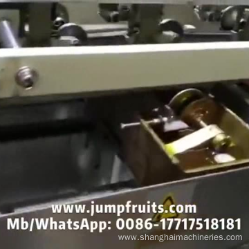 Tin can capping and sealing machine